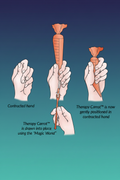 Therapy Carrot